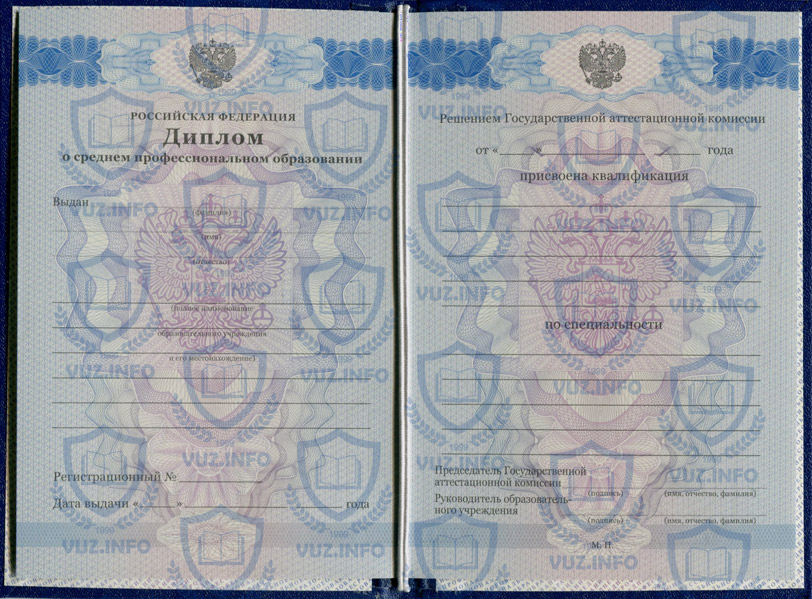 Диплом колледжа, техникума 2011 2012 2013 годов окончания